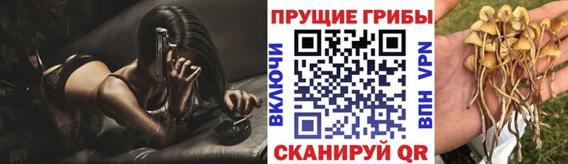 Псилоцибиновые грибы Magic Shrooms  Яровое 